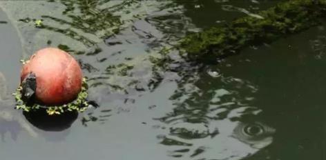 ������������������ˮЭ��������˼��