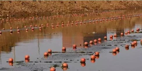 ȫ������ȫ��֧�ֶ���������ˮ��Ⱦ���ι���ս