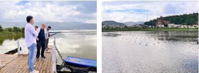 ��߻���Ч���ϼ�����������ˮ������������֤�о�