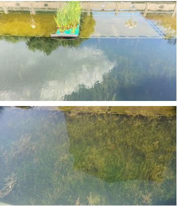 ��ί������ڹ����������Υ���Ρ�ר������