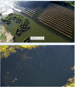 ��С����ˮ���������������׶�