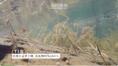 ���ű��ж���ĺӺ���ˮ������������ͻ��