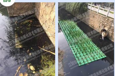 ��ô��Ч��Ϊ����������ˮ����