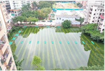 ����һұѤ�ò�����ˮ�����������Ҷ�