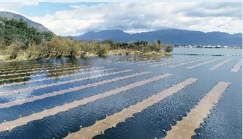 ������ˮ���ε�����ˮ��̬