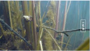 2025������ˮ�尶�̰�ʯ��ˮ��������