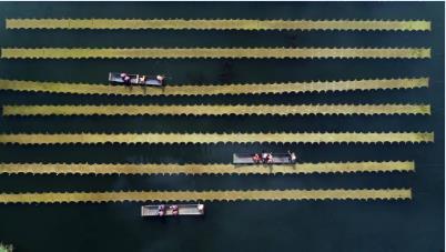 �ι���ub8��̶���ڳ�ˮ�塱ר������