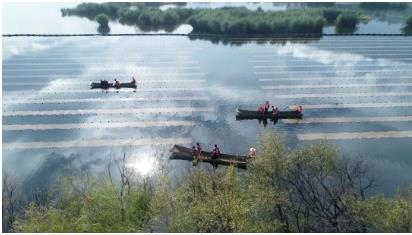 ���ι���|UB8���ι���|��������δ��