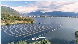 �ڳ�ˮ�����������ƽ�������ˮ�尶�̡���������