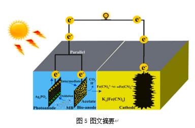 ���ι���|UB8���ι���|��������δ��