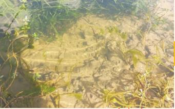 ����ˮ�����������ش�ͻ��