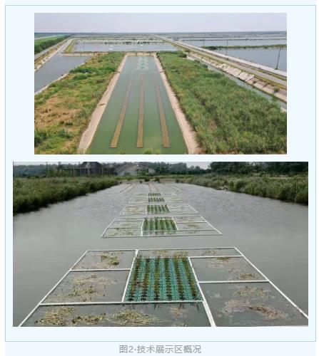 �ι���ub8С��Ӻڳ�ˮϵһ������