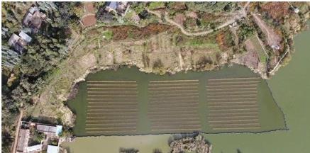 ���ݣ����κڳ�ˮ�� ʵ�ְ��̾���