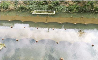 ����ת�أ�����̬���ξ��ٿ��������ܼҡ����齻����̸��