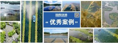 ���ι���|UB8���ι���|��������δ��