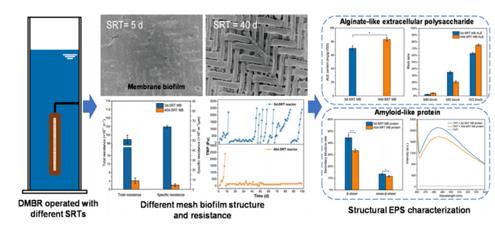 ���ι���|UB8���ι���|��������δ��