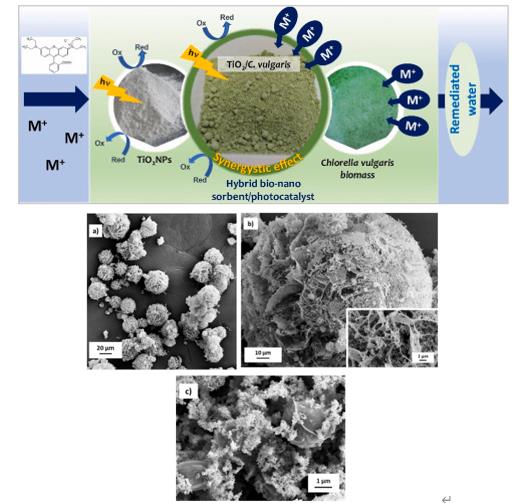  �ι���ub8�������¿��ж�̬(2022-11)