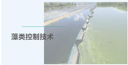 ����С���õ�28�� | �����������