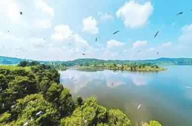 ����ˮ���ܱ�5������ũ����ˮ��������