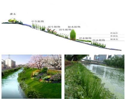 ������ڳ�ˮ�壨ˮ����ˮ����ˮ��ȣ���������ֳ��ˮ�������������������ڶ�ʱ����پ������������������������ũ��ˮ���ŷű�׼��������������