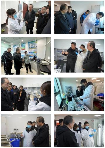 ���ι���|UB8���ι���|��������δ��