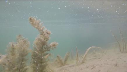 ���ι���|UB8���ι���|��������δ��