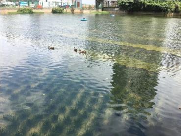 ����2020�궨�½�����̬���α���������������ʮ��ʹ����