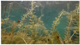 ����С���õ�47��ح����ˮˮԴ����������