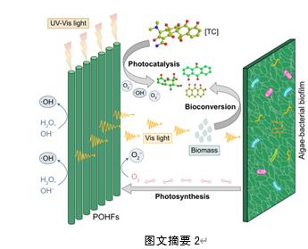 ���ι���|UB8���ι���|��������δ��