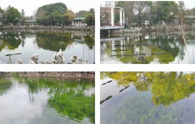 ��ǿũ����ˮ���óͷ��������ڳ�ˮ�����Ҫ�ж�