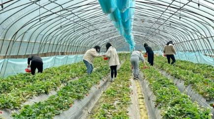 ���ι���|UB8���ι���|��������δ��