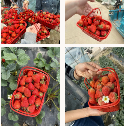 ���ι���|UB8���ι���|��������δ��