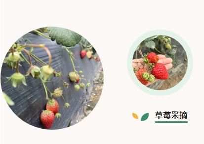 ���ι���|UB8���ι���|��������δ��