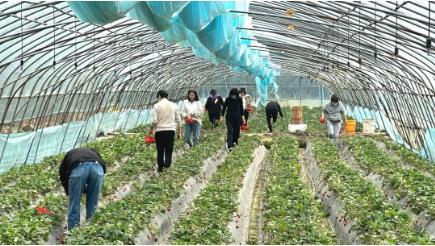 ���ι���|UB8���ι���|��������δ��