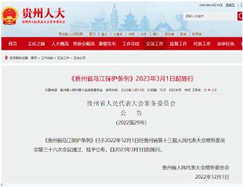 ���ι���|UB8���ι���|��������δ��