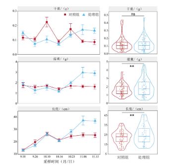 ���ι���|UB8���ι���|��������δ��