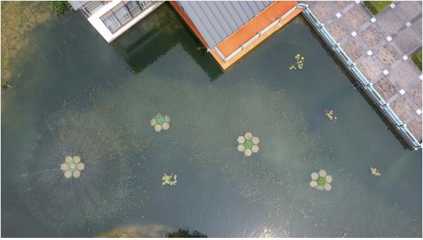 ���ι���|UB8���ι���|��������δ��