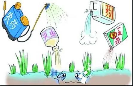 ����С���õ�55��حũҵ��Դ��Ⱦ����֮��ѧũҩ����