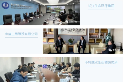 ���ι���|UB8���ι���|��������δ��