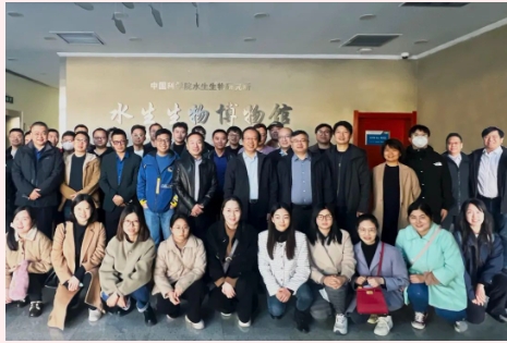 ���ι���|UB8���ι���|��������δ��