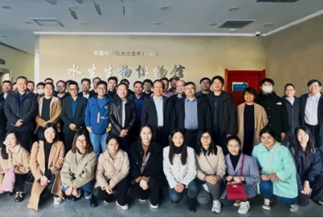 ���ι���|UB8���ι���|��������δ��