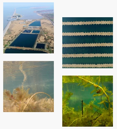 ��Ѷ�����빫ʾ������