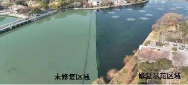 ý��۽����޸�ˮ��̬������������Ҷ���˻������Ͼ�����