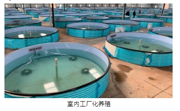 ���ι���|UB8���ι���|��������δ��