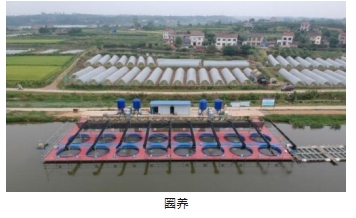 ���ι���|UB8���ι���|��������δ��