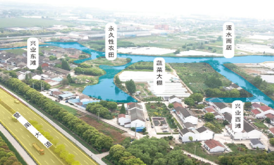 �������������Ŀ