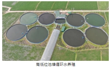 ���ι���|UB8���ι���|��������δ��