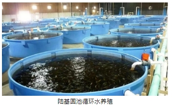 ���ι���|UB8���ι���|��������δ��