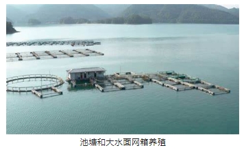 ���ι���|UB8���ι���|��������δ��