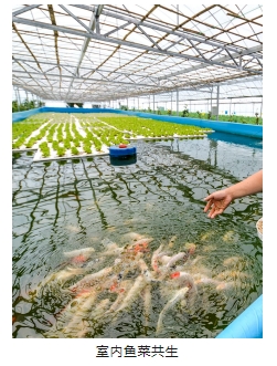 ���ι���|UB8���ι���|��������δ��